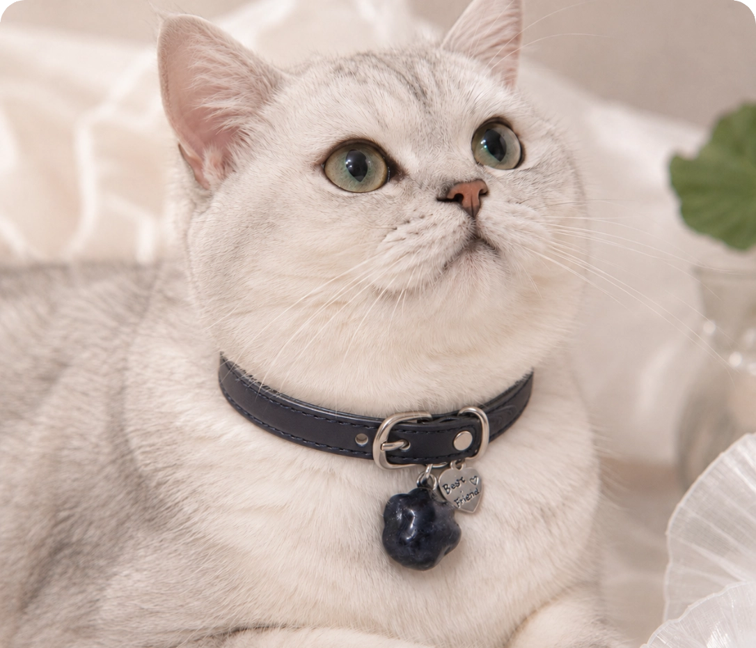 The Guardian Set pet collar charm.